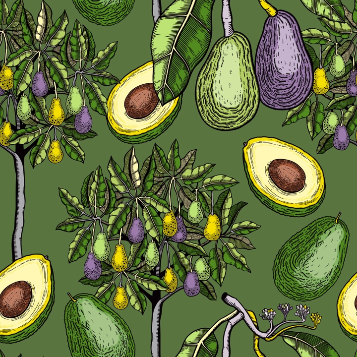 Green avocado tree design. Flat fruit branches, flowers, whole avocado, cut half piece in colors. Seamless healthy food pattern. Vector plant illustration isolated on white background